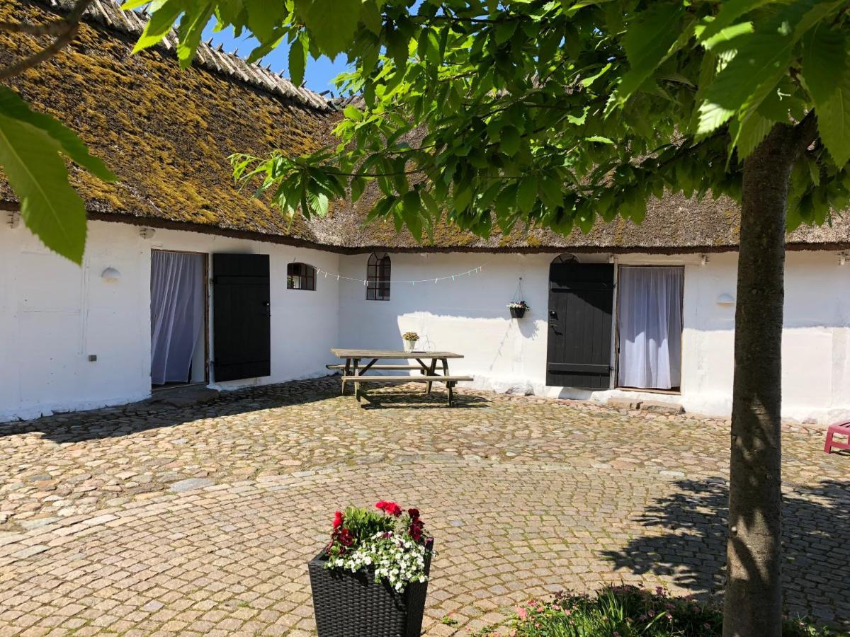 Bed and Breakfast Stragarden Nyord Exteriér fotografie